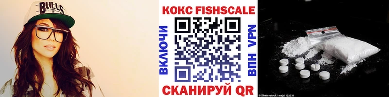 Купить закладки  Чебоксары  Кокаин Эквадор 