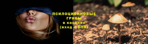 a pvp Осинники