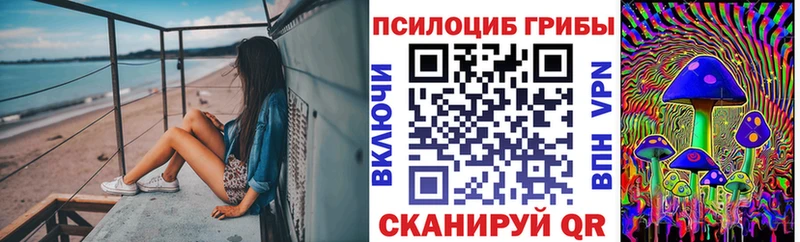 Псилоцибиновые грибы мицелий  Купить закладки  Чебоксары 